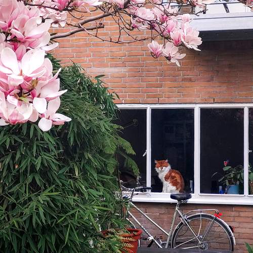 Photo #11992032