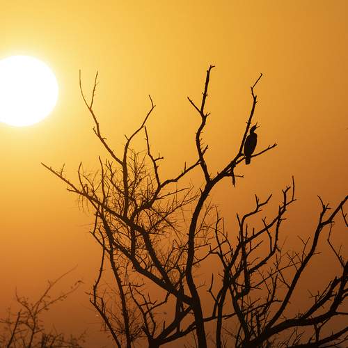 Photo #11992092