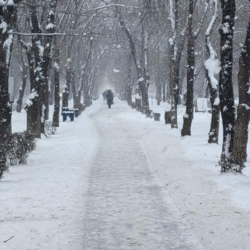 Photo #11992177