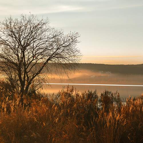 Photo #11992547