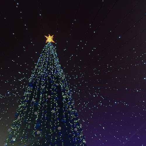 Photo #11992656