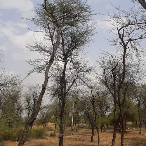Photo #11992742