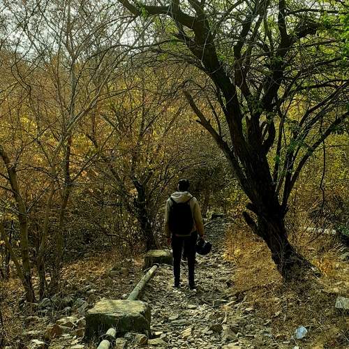 Photo #11992767