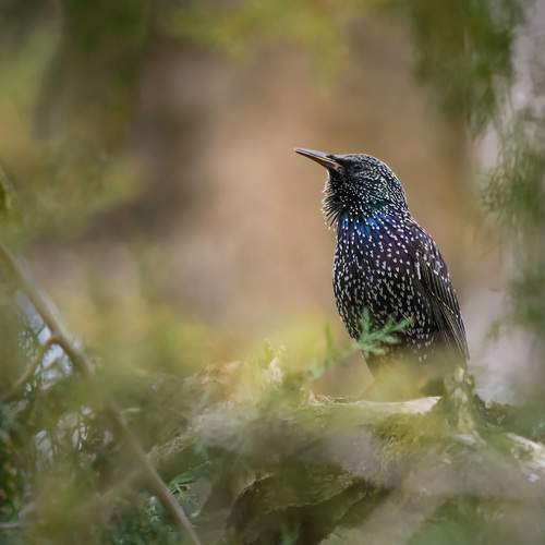 Скоро весна.