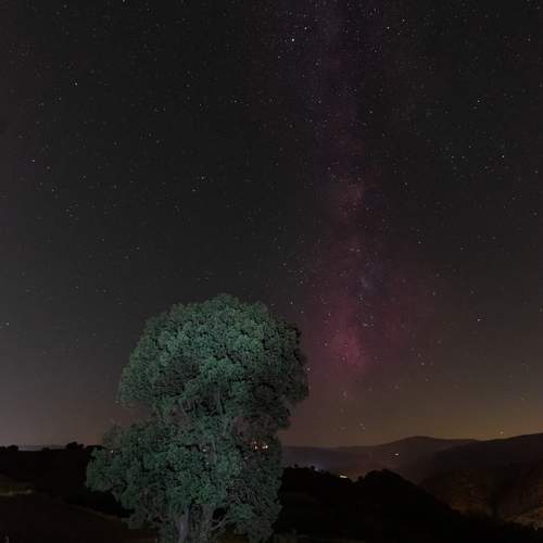 Photo #11992802