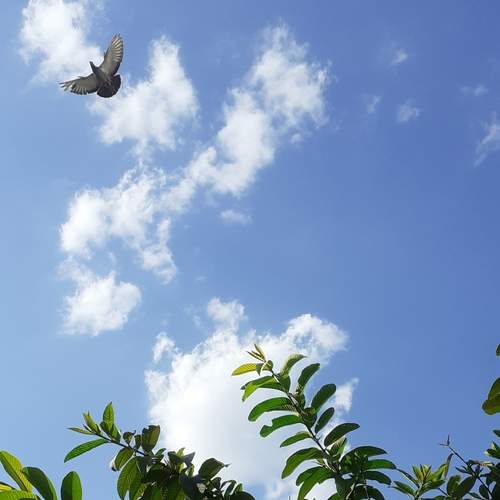 Photo #11992861