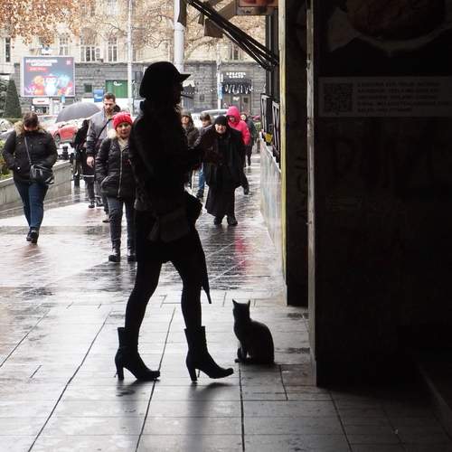 Photo #11993005