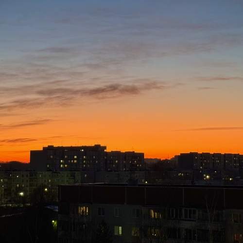 Photo #11993031