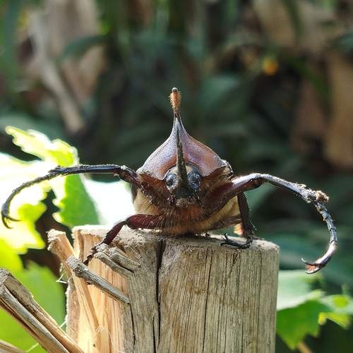 Photo #11993485