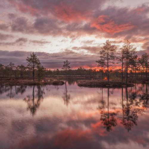 Photo #11993487