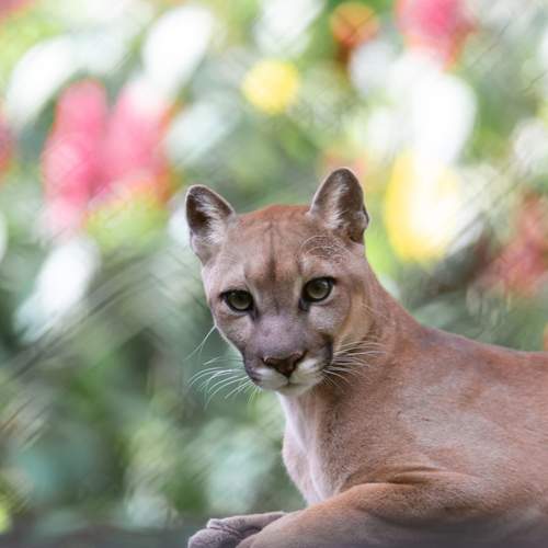 Photo #11994232