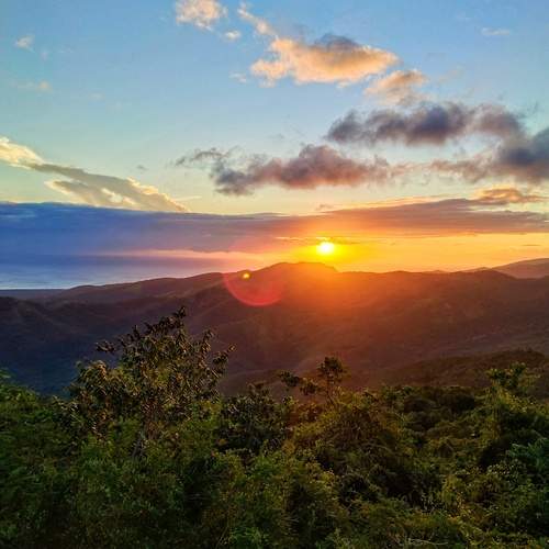 Photo #11994250