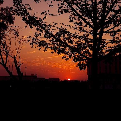 Photo #11994270