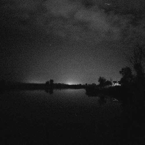Photo #11994277