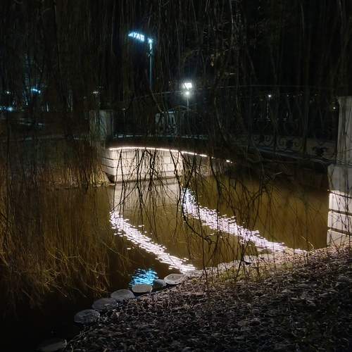 Photo #11994537