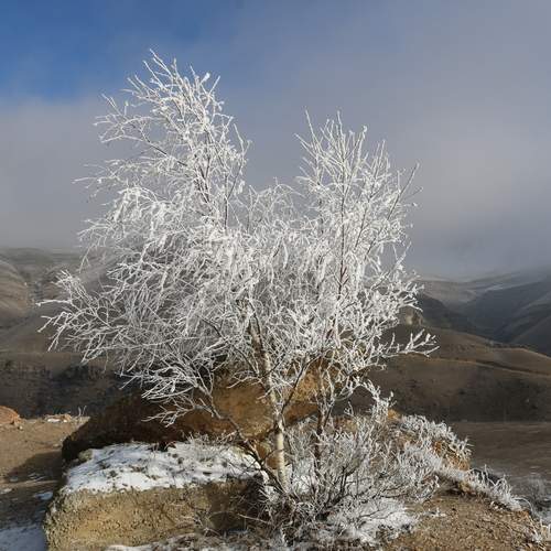 Photo #11994968