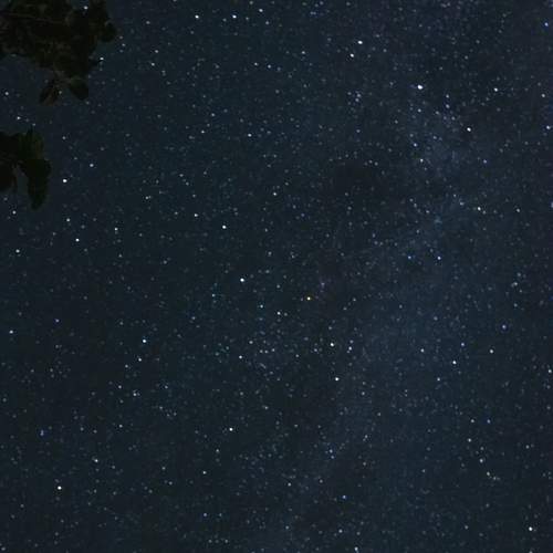 Photo #11994970