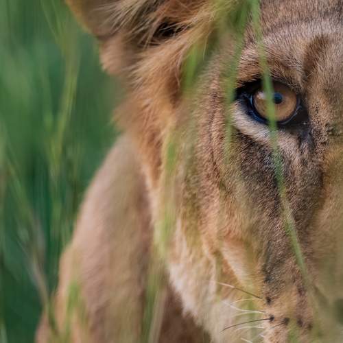 Фотография #11995011