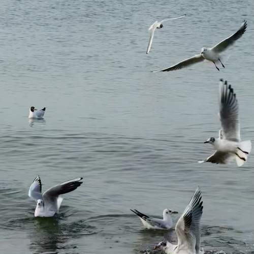 Photo #11995056