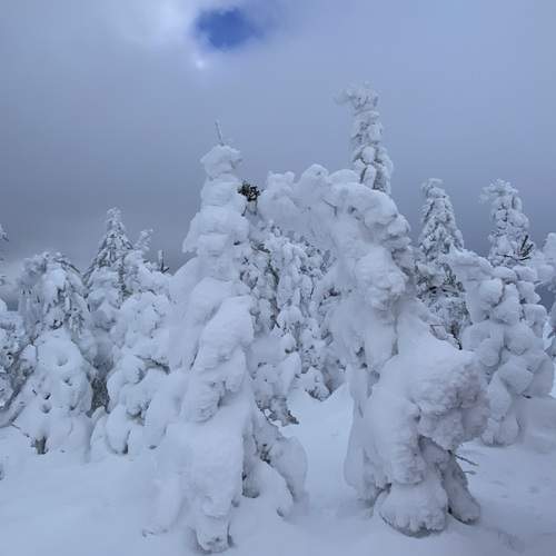 Photo #11995081