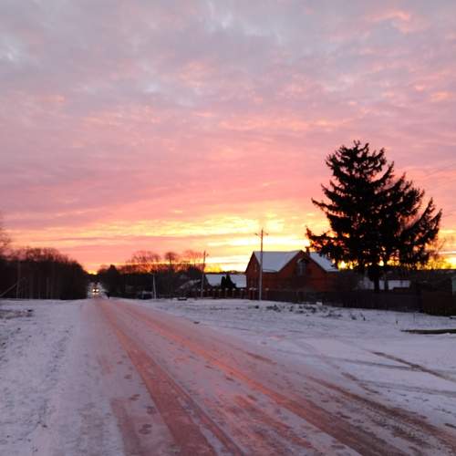 Photo #11995093