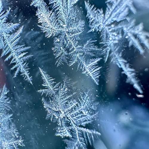 Photo #11995231