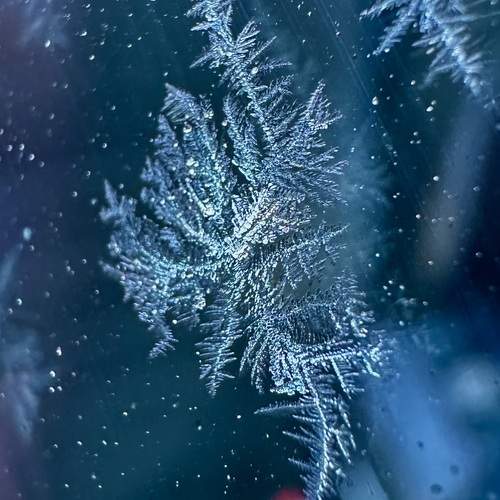 Photo #11995232