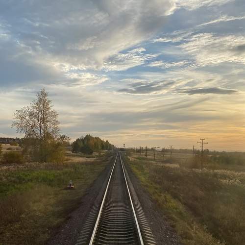 Photo #11995269