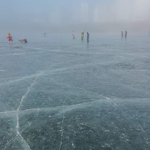 Photo #11995487