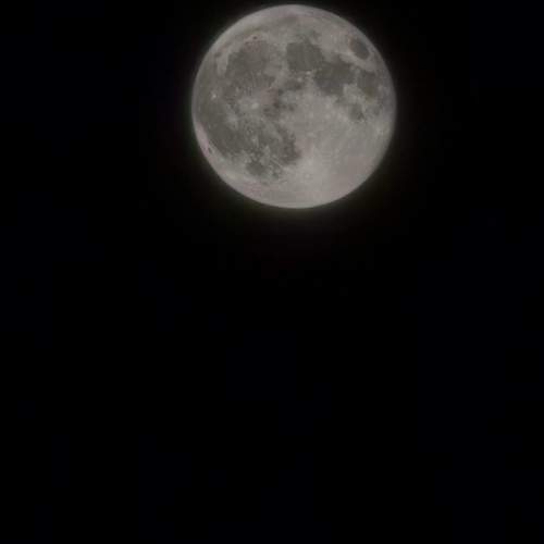 Photo #11995508