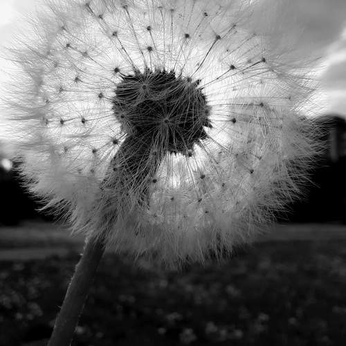 Photo #11995557