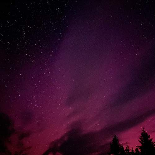 Photo #11995580