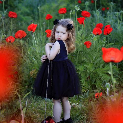 Photo #11995630