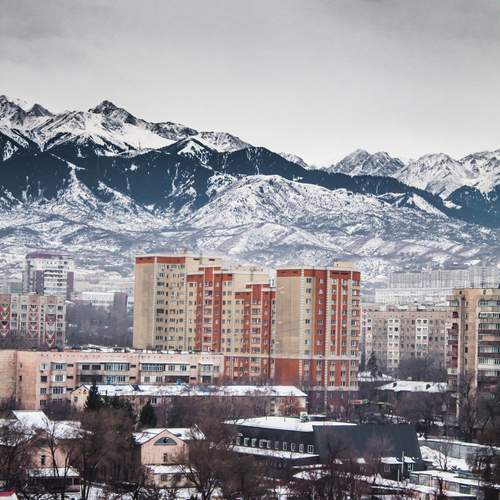 Photo #11995718