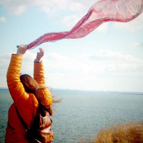 Photo #11995754
