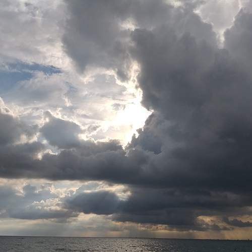 Photo #11995921