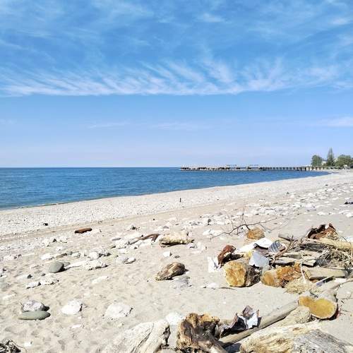 Photo #11996295