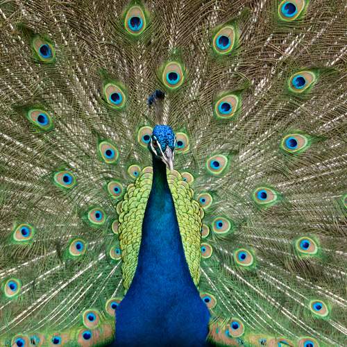 Photo #11996402