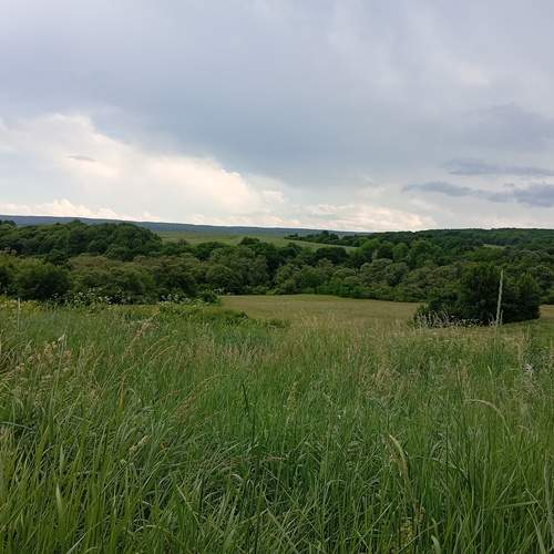 Photo #11996462