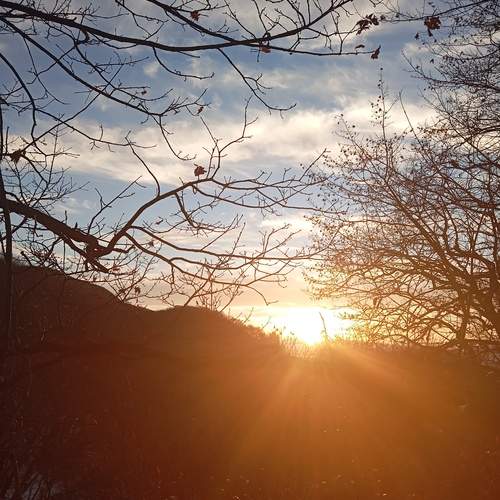 Photo #11996464
