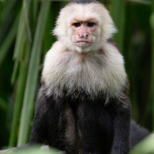 Photo #11996500