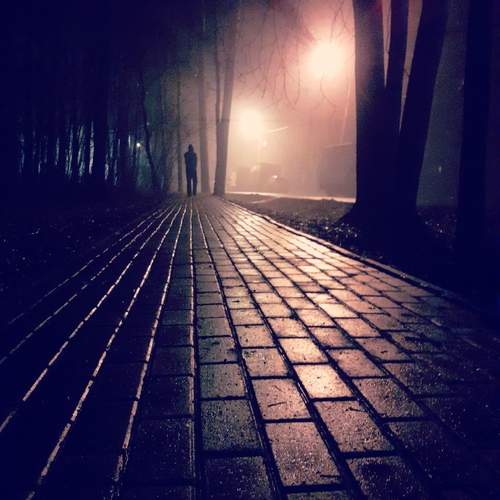 Photo #11996526