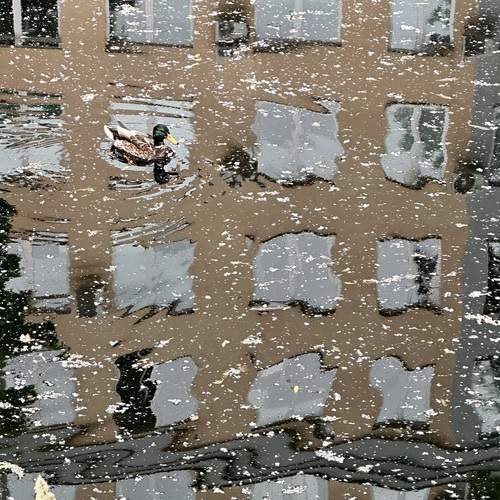 Photo #11996605