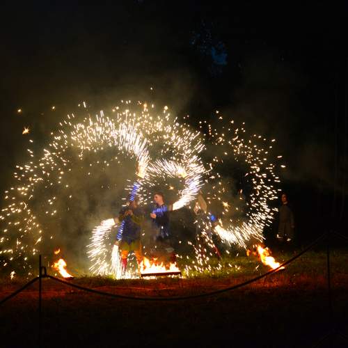 Photo #11996773