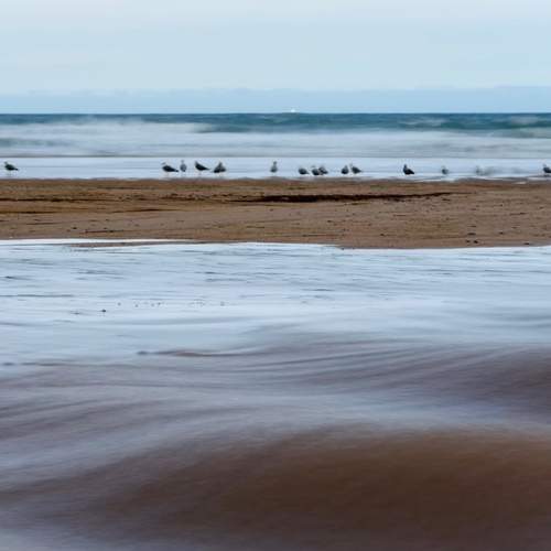 Photo #11997002