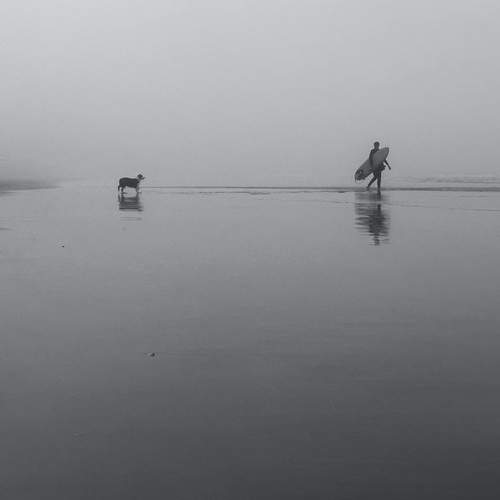 Photo #11997100