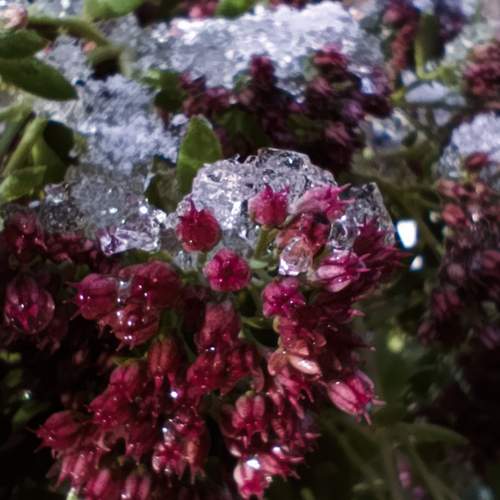 Photo #11997330
