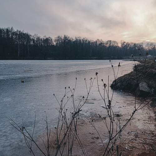Photo #11997372