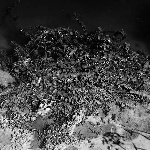 Photo #11997477