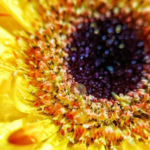 Photo #11997514